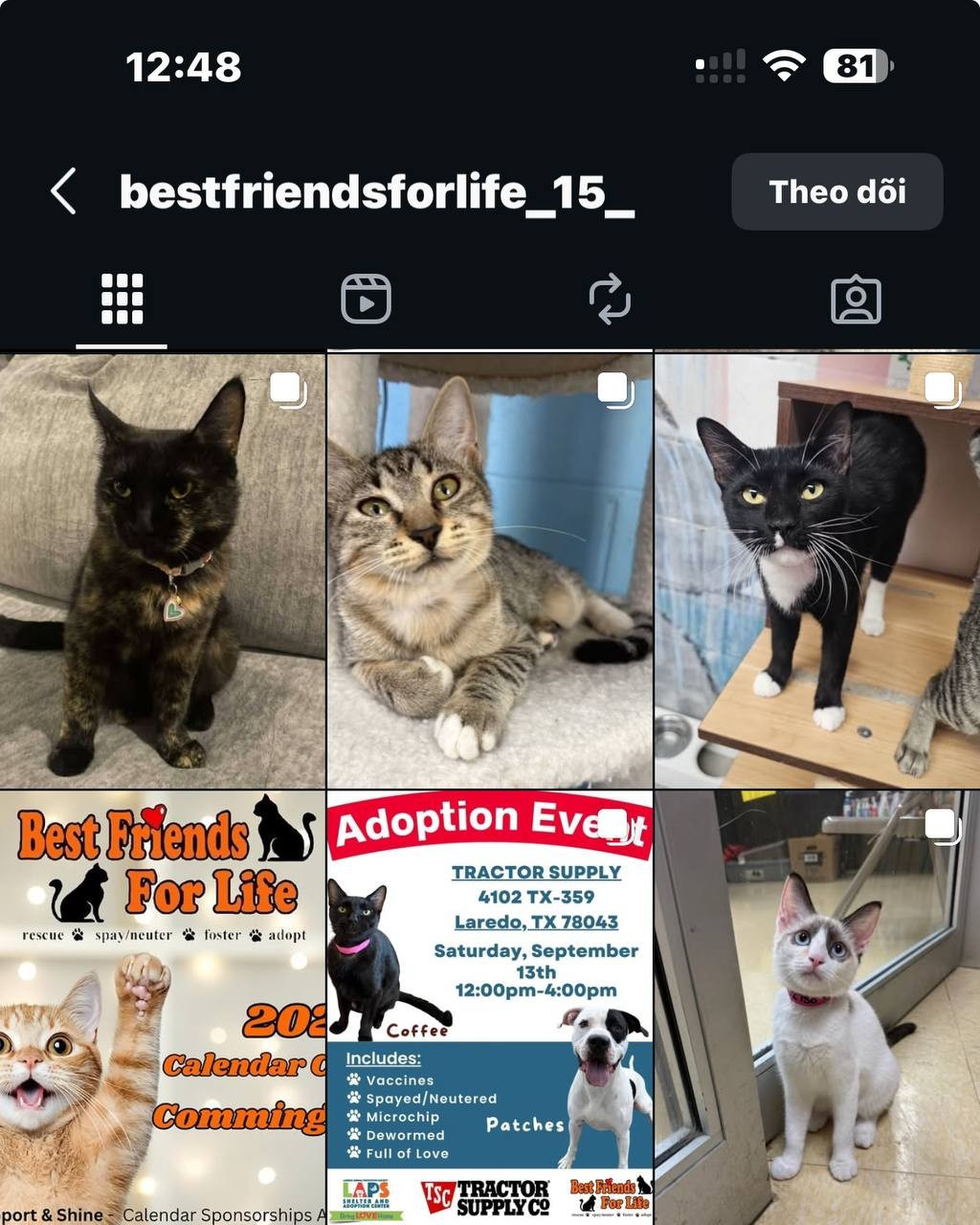 Flow đã làm được điều mà các chiến dịch truyền thông xã hội phải mất hàng năm mới đạt được: thay đổi nhận thức bằng cảm xúc thuần khiết.