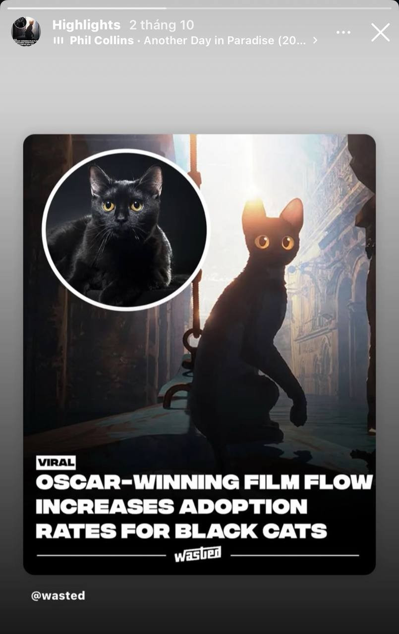 Từ bộ phim nhỏ đến hiện tượng xã hội