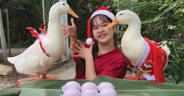 Từ quả trứng tưởng hỏng đến chú vịt nổi tiếng