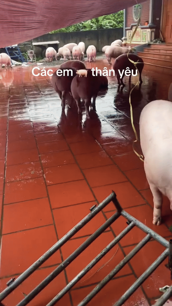 Phía sau khoảnh khắc ấy là cả một câu chuyện về tình người, sự sẻ chia và niềm tin giữa mùa thiên tai.