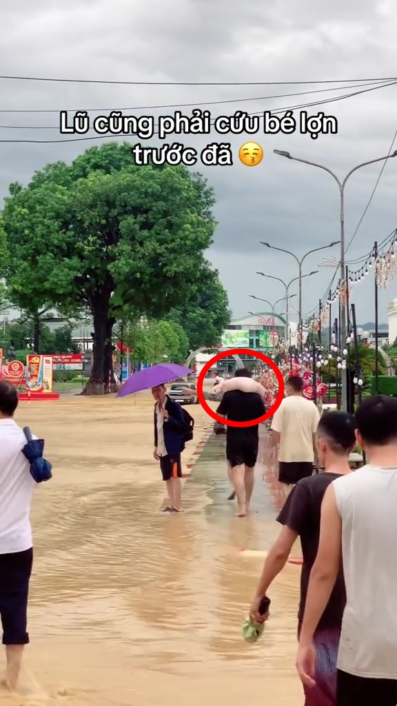 Người dân Thái Nguyên di dời vật nuôi trong mưa lũ