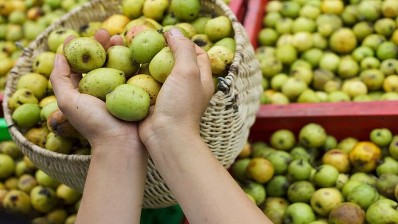người tiêu dùng trong và ngoài nước tìm mua nhờ hương vị đặc trưng và giá trị sức khỏe cao.